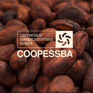 COOPESSBA (Natucoa) – Cooperativa de Serviços Sustentáveis da Bahia